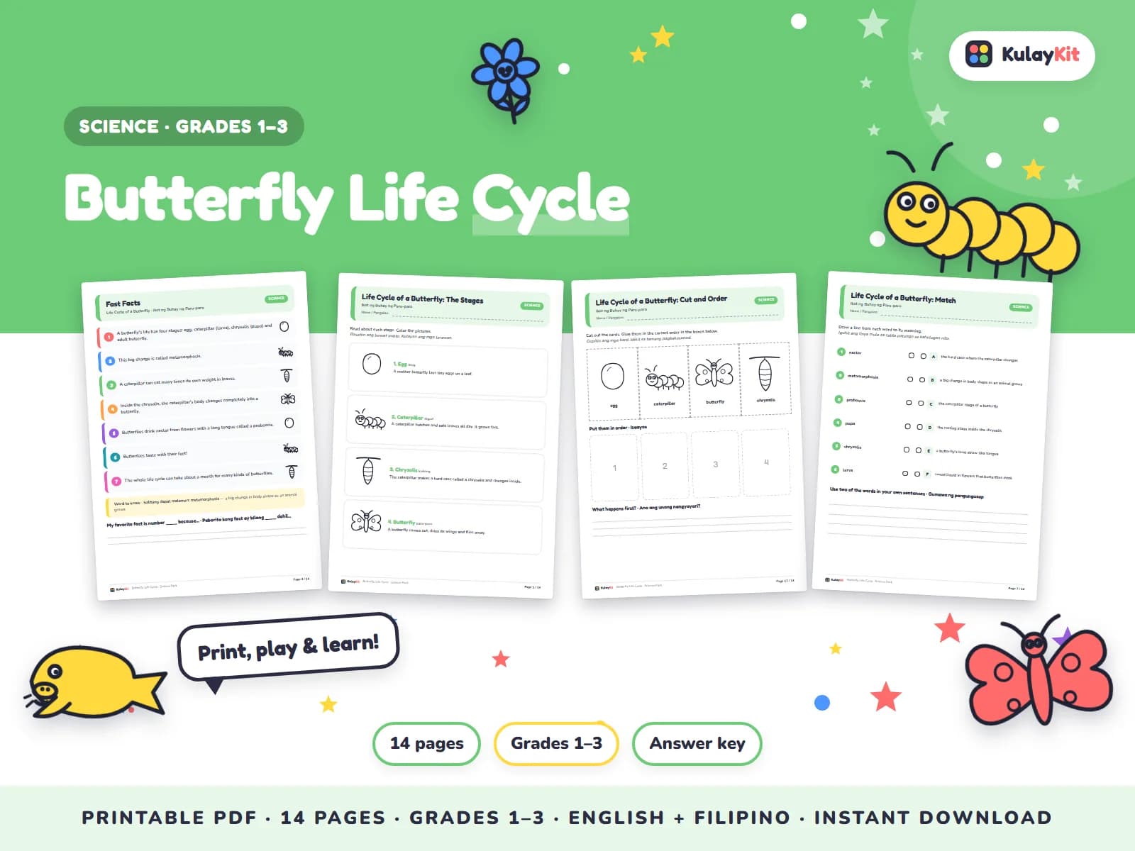 Cover of Butterfly Life Cycle, a printable pack for kids in Grades 1 to 3, showing four of its pages