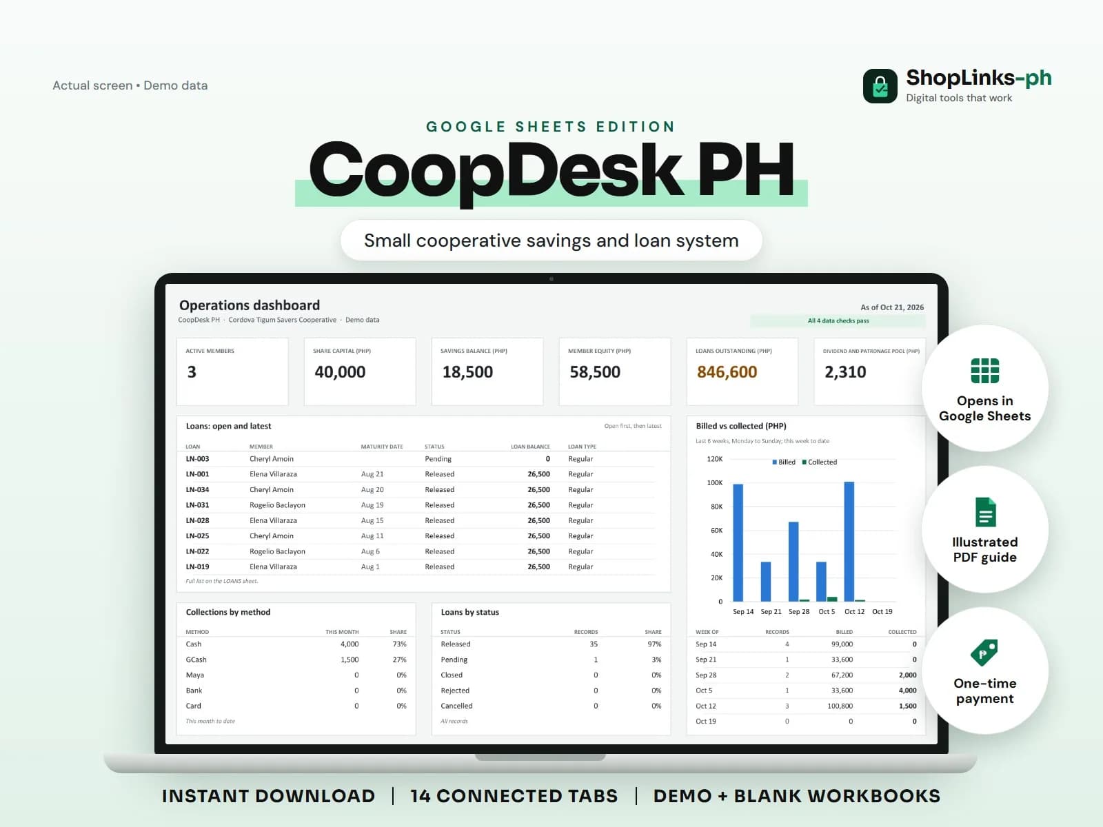 Share capital, savings, loans, and equity per member on one board.