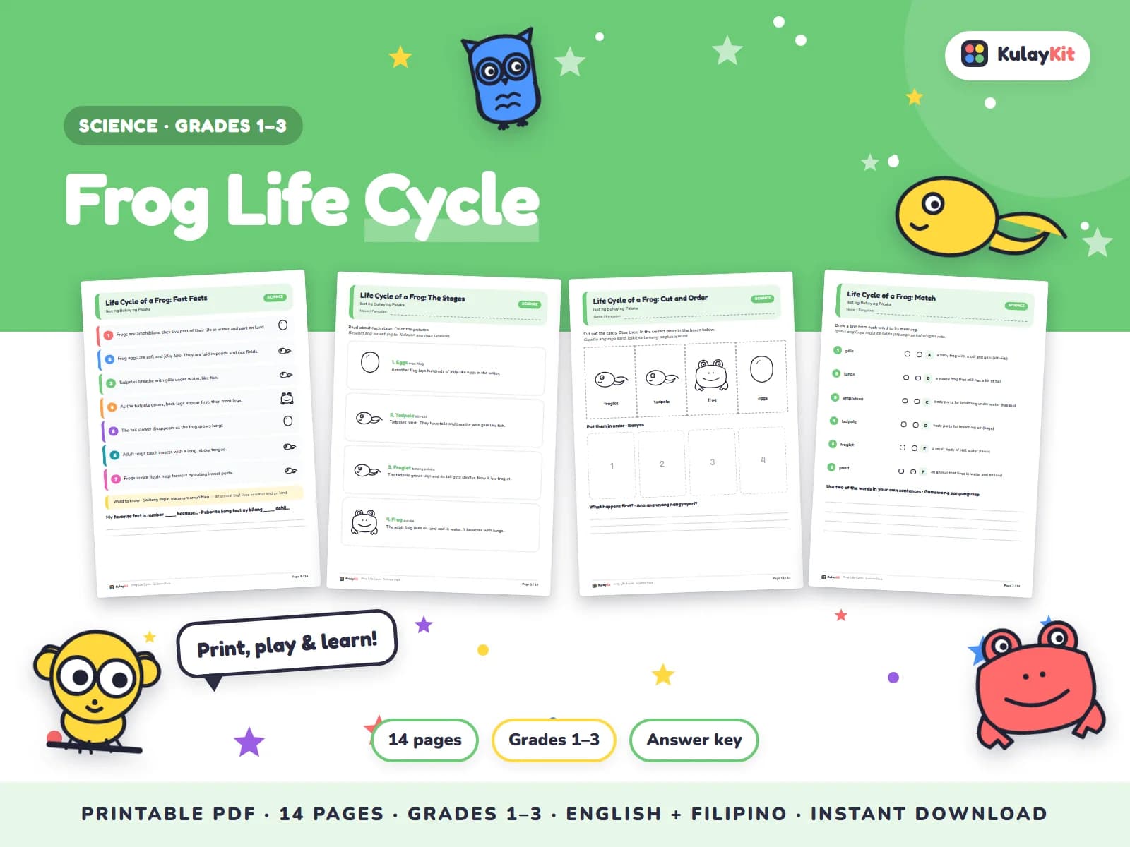 Cover of Frog Life Cycle, a printable pack for kids in Grades 1 to 3, showing four of its pages