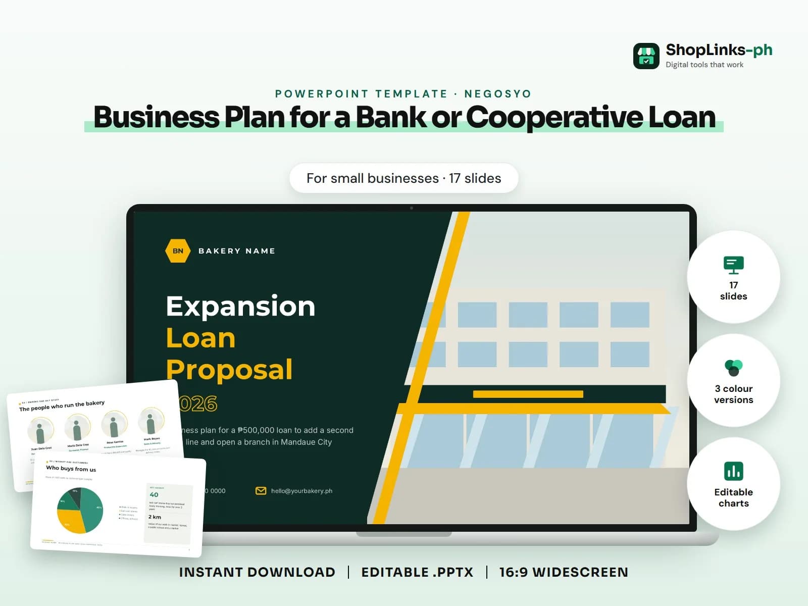 Business Plan for a Bank or Cooperative Loan
