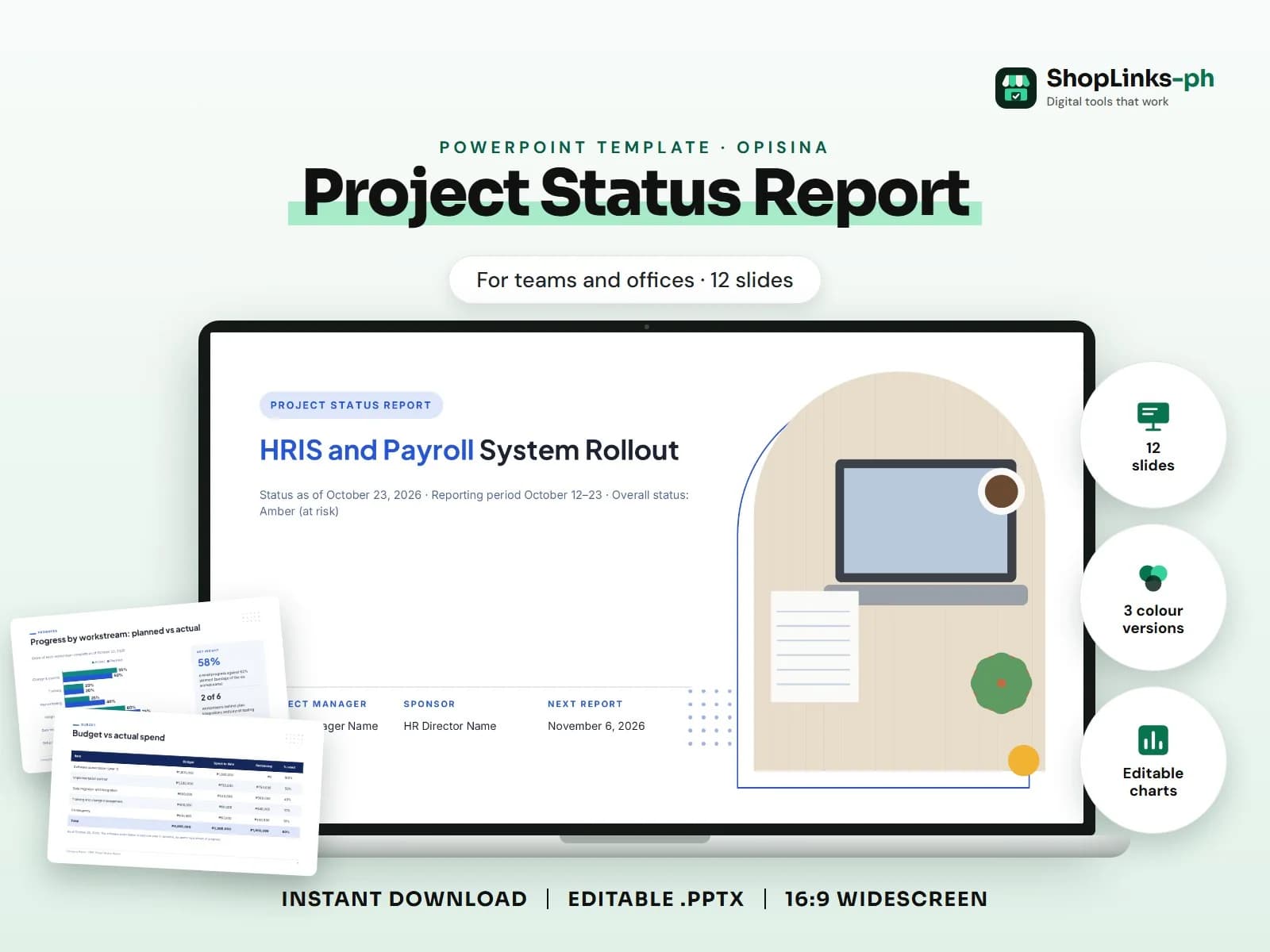 Project Status Report