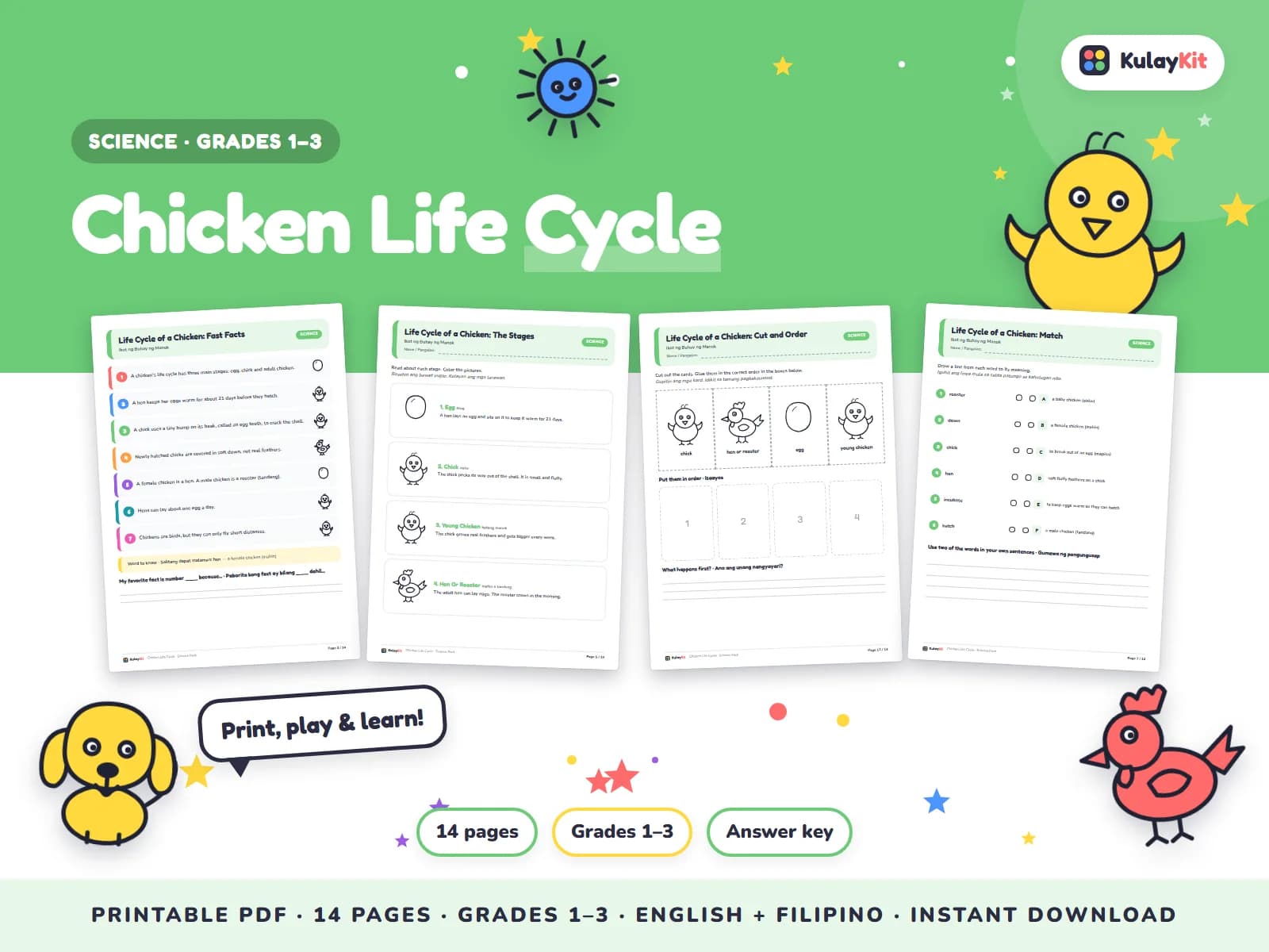 Science pages with diagrams, sorting, and quizzes.